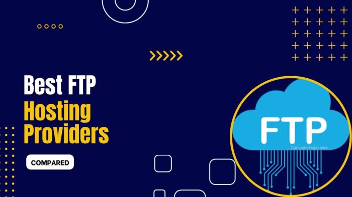 7 Best FTP Hosting Providers 2025 (Compared) - Codeless What is FTP Hosting