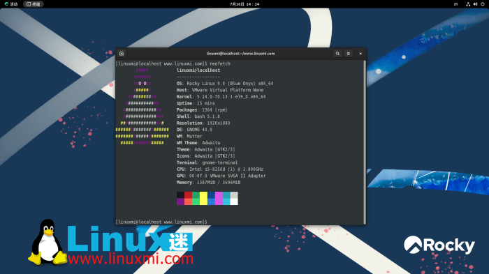 Linux Server vs Windows Server